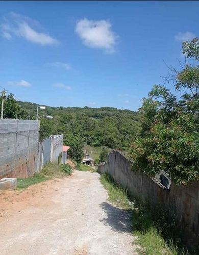 Imagem 8 de 18 de Pj Pequena Chácara A Venda