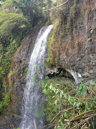 Hermosa Finca Con Cultivo De Cafe 