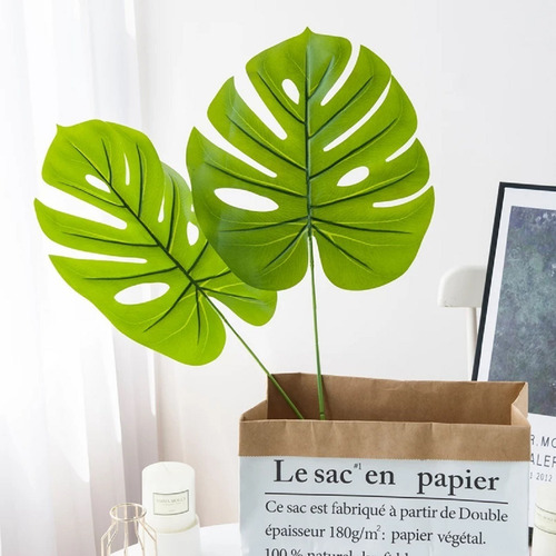 Planta Artificial Hoja Costilla De Adan Deco Interiores 61cm Color Costilla De Adán Clara