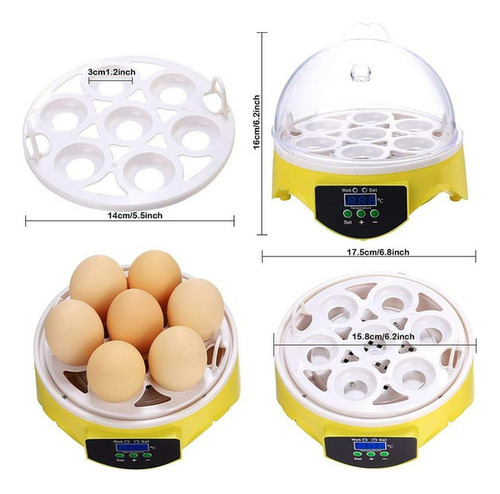 Incubadora De Huevos Digital 7 Huevos Control De Temperatura