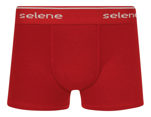 Cueca Boxer Infantil Algodão Selene Kit Com 5 Cuecas.