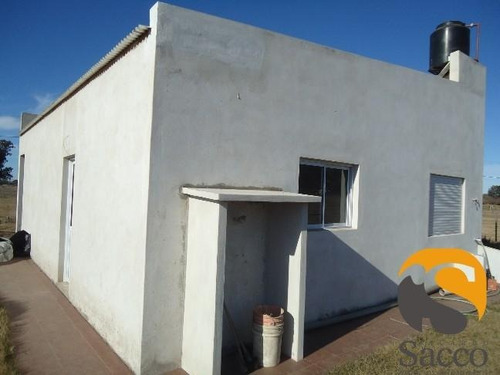 Imagen 8 de 10 de Casa S¿dos Dormitorio Venta Sector Norte De #trenquelauquen