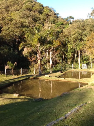 Imagem 12 de 14 de Vendo Chácara Em Cambuí Sul De Minas
