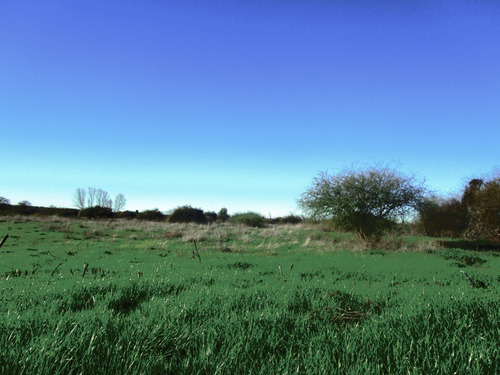 Propiedad Agrícola De Riego Con Derechos De Aguas Río Ñuble
