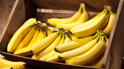 Se Venden Plantas De Platano Roatan