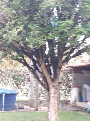 Chácara Com 2 Dormitórios À Venda, 1566 M² Por R$ 450.000,00 - Tanquinho Velho - Jaguariúna/sp - Ch0122