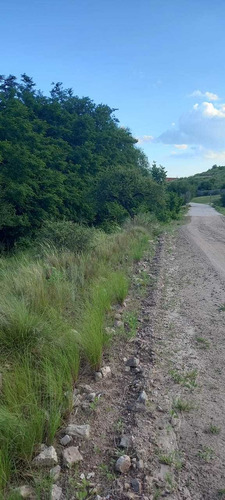 Imagen 3 de 6 de Terreno Estancia Grande San Luis