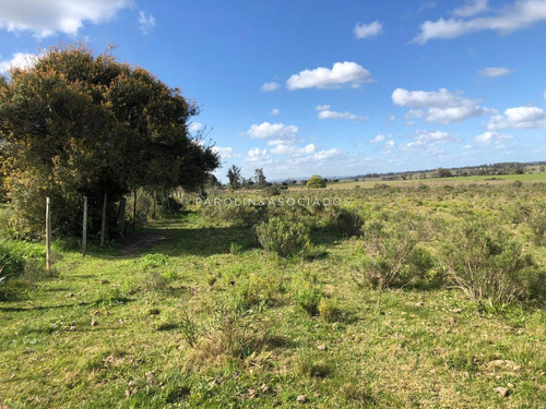 Campo En Venta Excelente Lugar- Ref: 3643
