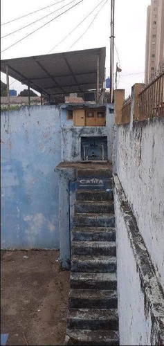 Imagem 25 de 30 de Terreno À Venda Na Vila Carmosina - Te1683