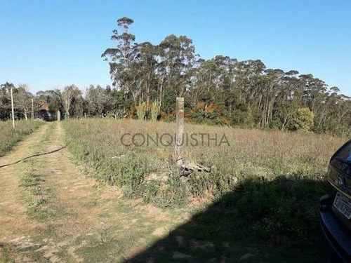 Imagem 4 de 9 de Area - Fazenda Aya - Ref: 2245 - V-4429
