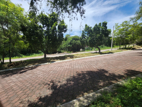 Venta De Lote San Diego 53 Mz Xvi Muy Cerca Del Acceso Y Sobre Av Principal Con Bonita Vista En Fracc Rancho San Diego Ixtapan De La Sal Edomex