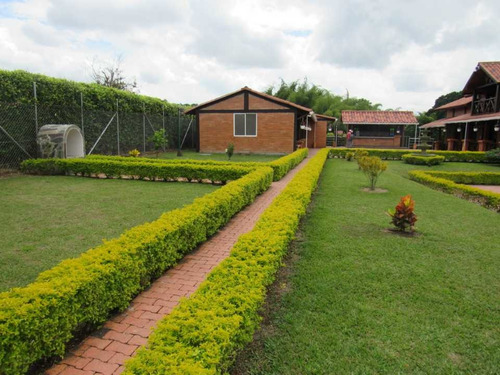 Imagen 6 de 30 de Venta Hermoso Chalet En La Tebaida Q