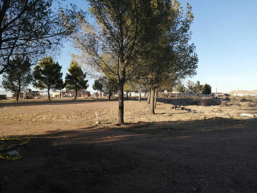 Imagen 4 de 17 de Terrenos En Venta Zona Reliz Chihuahua