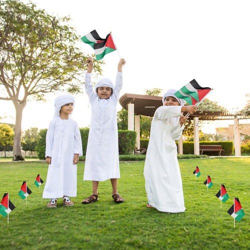 50 Unidades De Banderas De Mano De Palestina Para Palestina