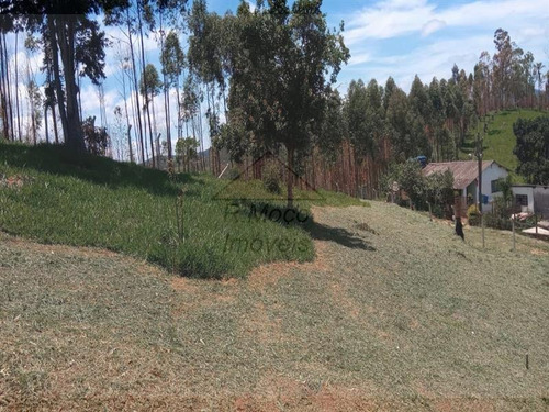 Imagem 5 de 16 de Área Jundiaizinho (terra Preta) Mairiporã/sp - 1309
