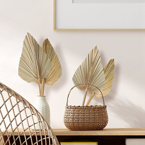 8 Peças De Folhas De Palmeira Secas, Ventiladores De Palmeir