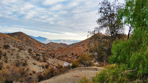 Parcela En Venta En Los Andes. (cod 32).