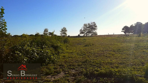 Imagen 9 de 14 de Venta-chacras-campo - Gral Lavalle-ruta 11/ Km 320