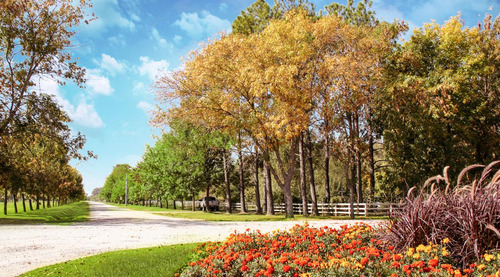 Lote - Terreno - Venta - Fincas De San Vicente Sporting- Futbol, Tenis, Hockey, Piscina Olimpica