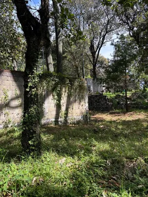 Terreno en venta
