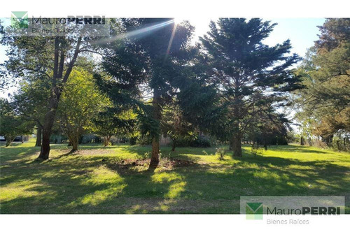 Imagen 4 de 18 de Campo - Arana