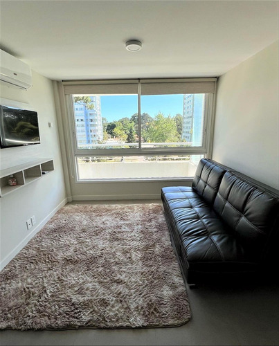 Imagen 4 de 14 de Vendo Apartamento Un Dormitorio Punta Del Este - Greenlife Cw188555
