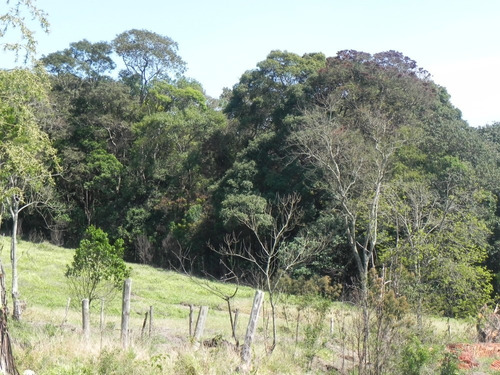 (sc) Lotes 1000m² Apenas 40mil A Vista, Não Perca!!!