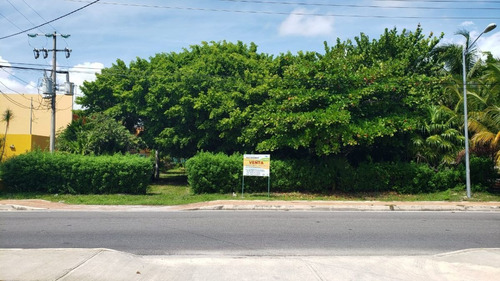 Imagen 5 de 29 de Terreno En Venta Punta Sam, Isla Mujeres