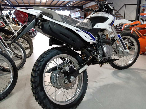 Imagen 8 de 16 de Motomel Skua 250 Pro - Division Ruedas