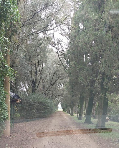 Imagen 4 de 5 de 2600mts En Excelente Zona De Arroyo Seco.