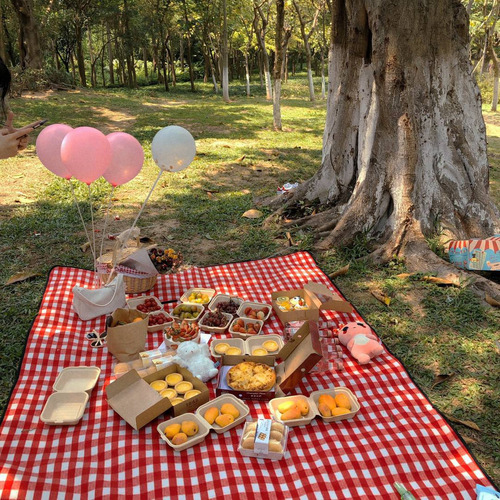.. Cesta De Picnic De Mimbre Estilo Campestre Con Tapa.