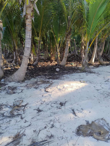 Vendo Terreno En Bavaro 1,142,348 Mt2. Con 600 Mt2. De Playa