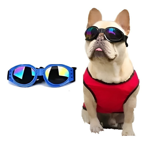 Gafas Para Perros Uv Gafas Para Perros Mascotas Perros 866