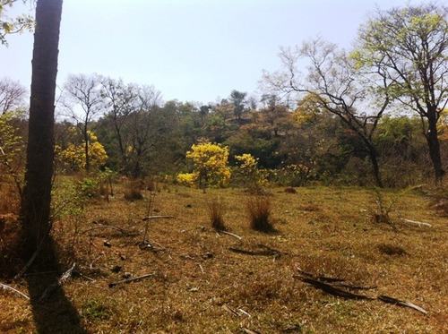 Chácara À Venda, 1 Quarto, Centro - Jaboticatubas/mg - 410