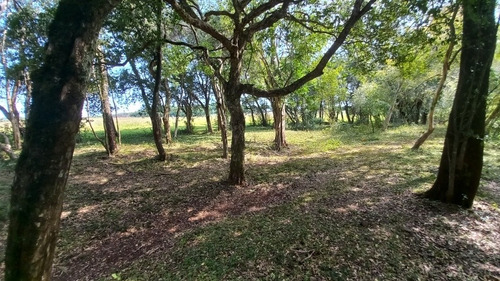 Imagen 9 de 17 de Vendo 4 Lotes Con Arroyo