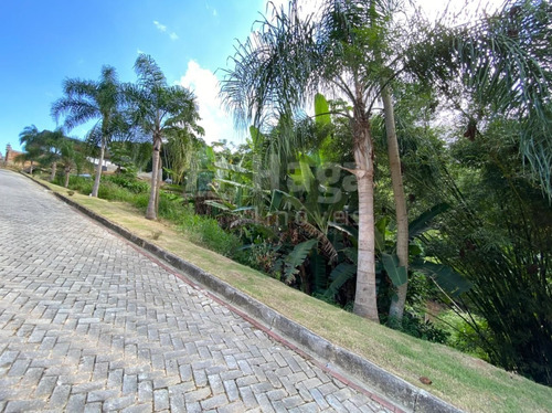 Terreno À Venda Em Brusque/sc - 369