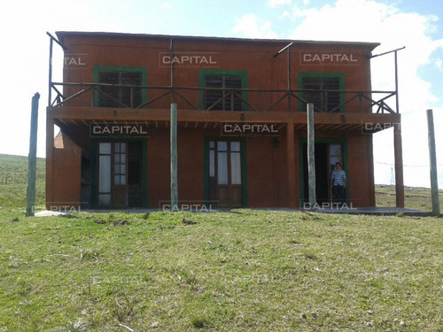 Imagen 3 de 30 de Campo Con Casa Y Tajamar, Muy Cerca Ruta 9 Y 12 - Punta Ballena Punta Ballena