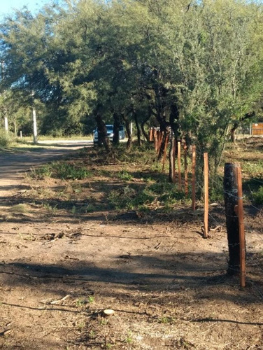 Imagen 6 de 8 de Gran Lote De 1500 Mts Con Forestacion Autoctona!!