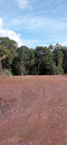 Imagem 10 de 10 de Terreno 1310m2 Vendido!!!