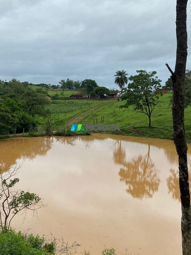 Imagem 10 de 15 de Fazenda - Zona Rural - Ref: 5534 - V-mta5534