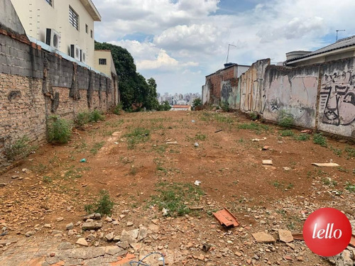 Imagem 1 de 3 de Terreno - Ref: 232090