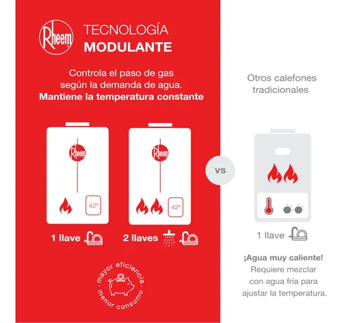 Calefon Gas Natural 18 Litros Tiro Forzado Rheem Digital