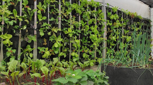 Imagen 8 de 9 de Jardín Vertical Pared Verde - Extra Fuerte Impermeable 8 Bol
