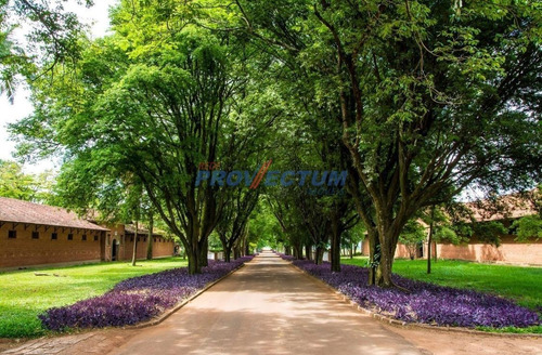 Terreno À Venda Em Haras Patente - Te284715