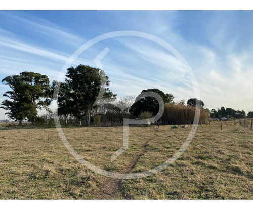 Imagen 8 de 9 de Campo 25 Has Venta Ranchos General Paz