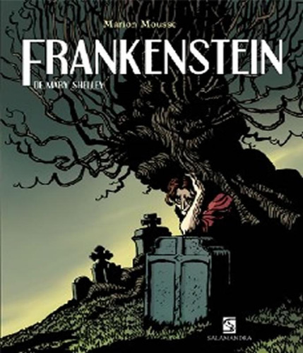 Livro Frankenstein Hq Salamandra