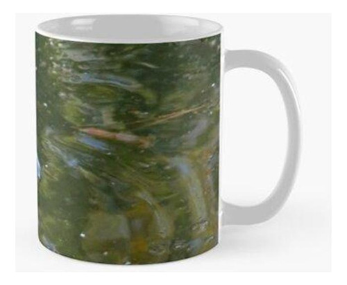 Taza Pato A La Izquierda - Agua Verde Calidad Premium