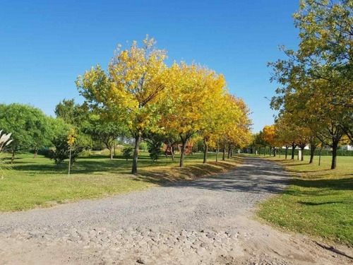 Imagen 3 de 3 de Villa Allende Chacras De La Villa Venta De Terreno