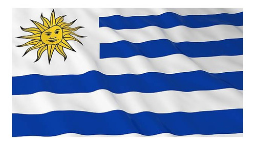 Bandera De Uruguay Selección Mundial 1,60 X 90 Mts