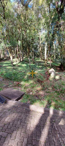 Imagem 2 de 16 de Terreno A Venda - 1086